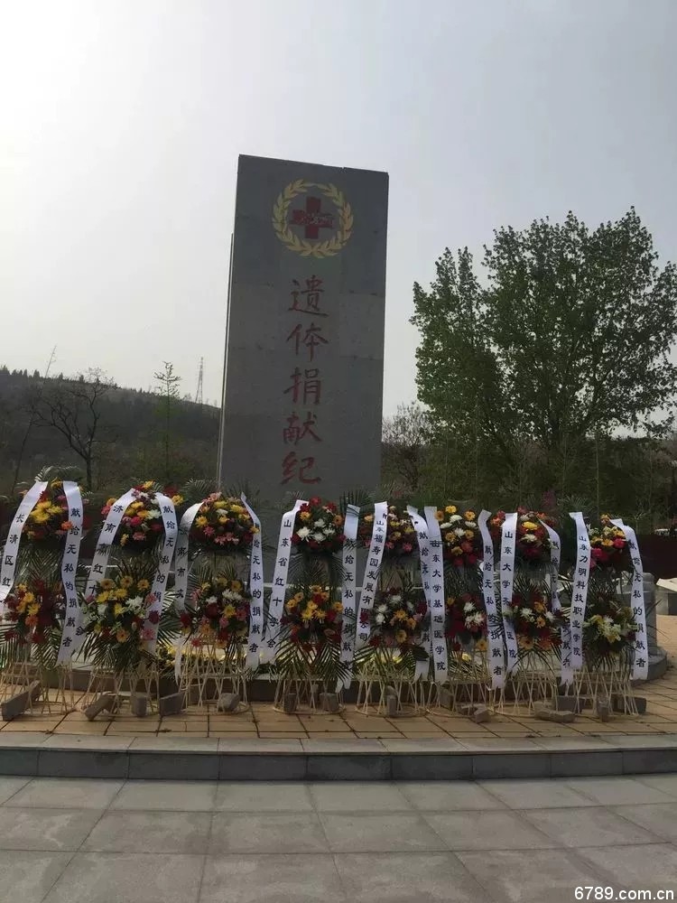 口腔醫(yī)學|護理招生|民辦學校|口腔醫(yī)學|民辦院校招生|力明學院|山東|中西醫(yī)結合|醫(yī)學|臨床醫(yī)學|口腔醫(yī)學|中醫(yī)|中藥|護理|針灸|推拿|大學|學院|民辦|私立|高職|?？苵本科|成人教育|遠程教育|脫產(chǎn)|業(yè)余|函授|夜大|理工|文史|藝術|體育|護士管理公司|南丁格爾|幸福公社|養(yǎng)老院