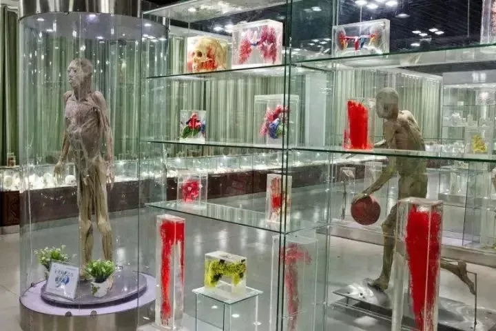 山東力明科技職業(yè)學院