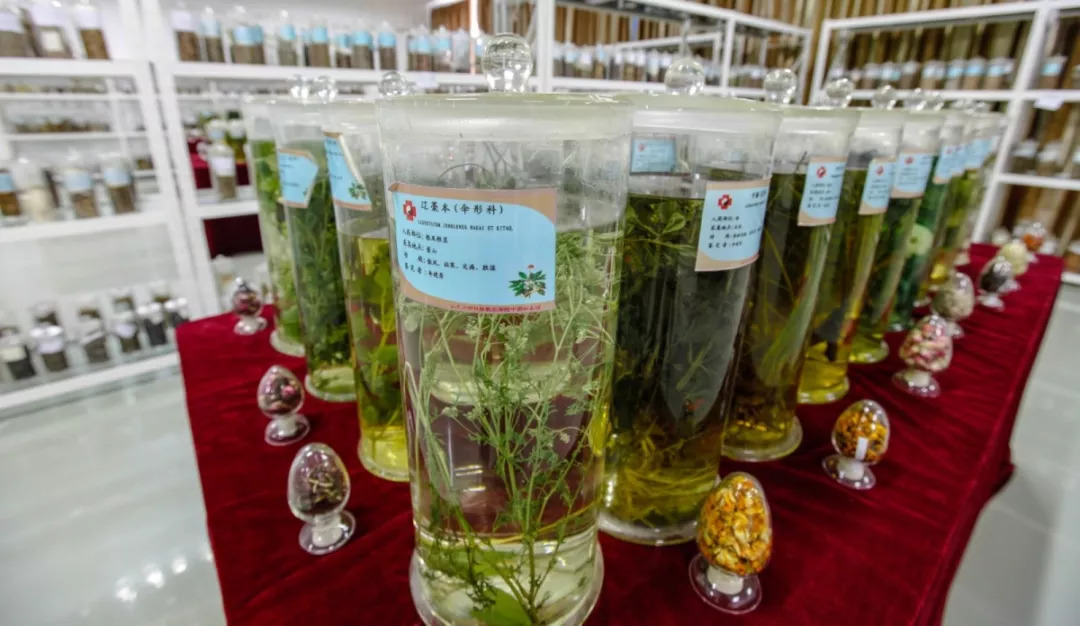 山東力明科技職業(yè)學院
