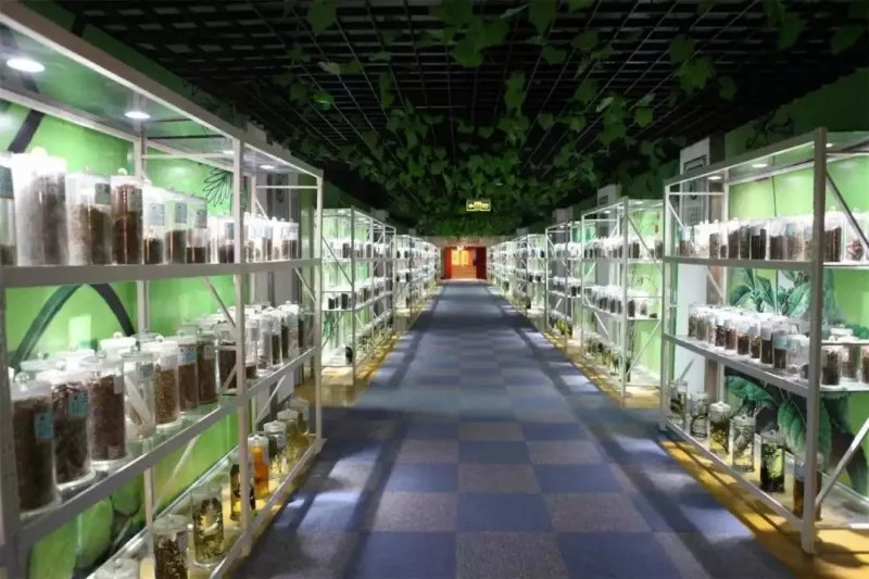 山東力明科技職業(yè)學院