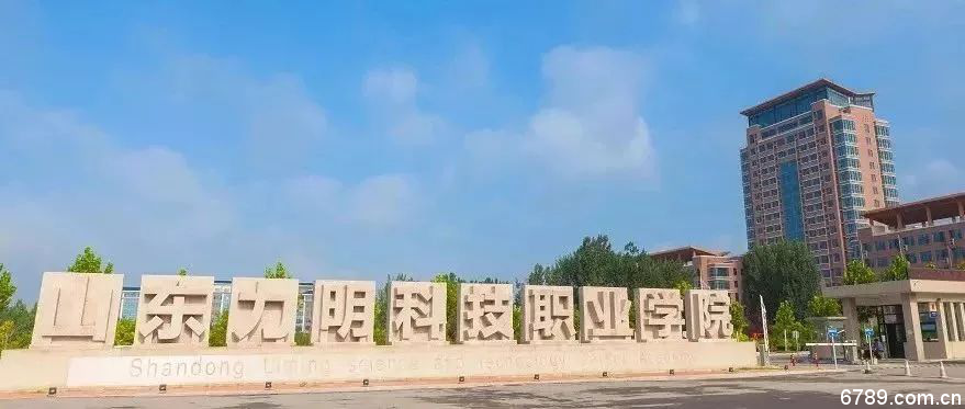 山東力明科技職業(yè)學院