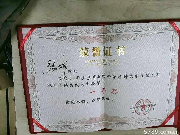 山東力明科技職業(yè)學院